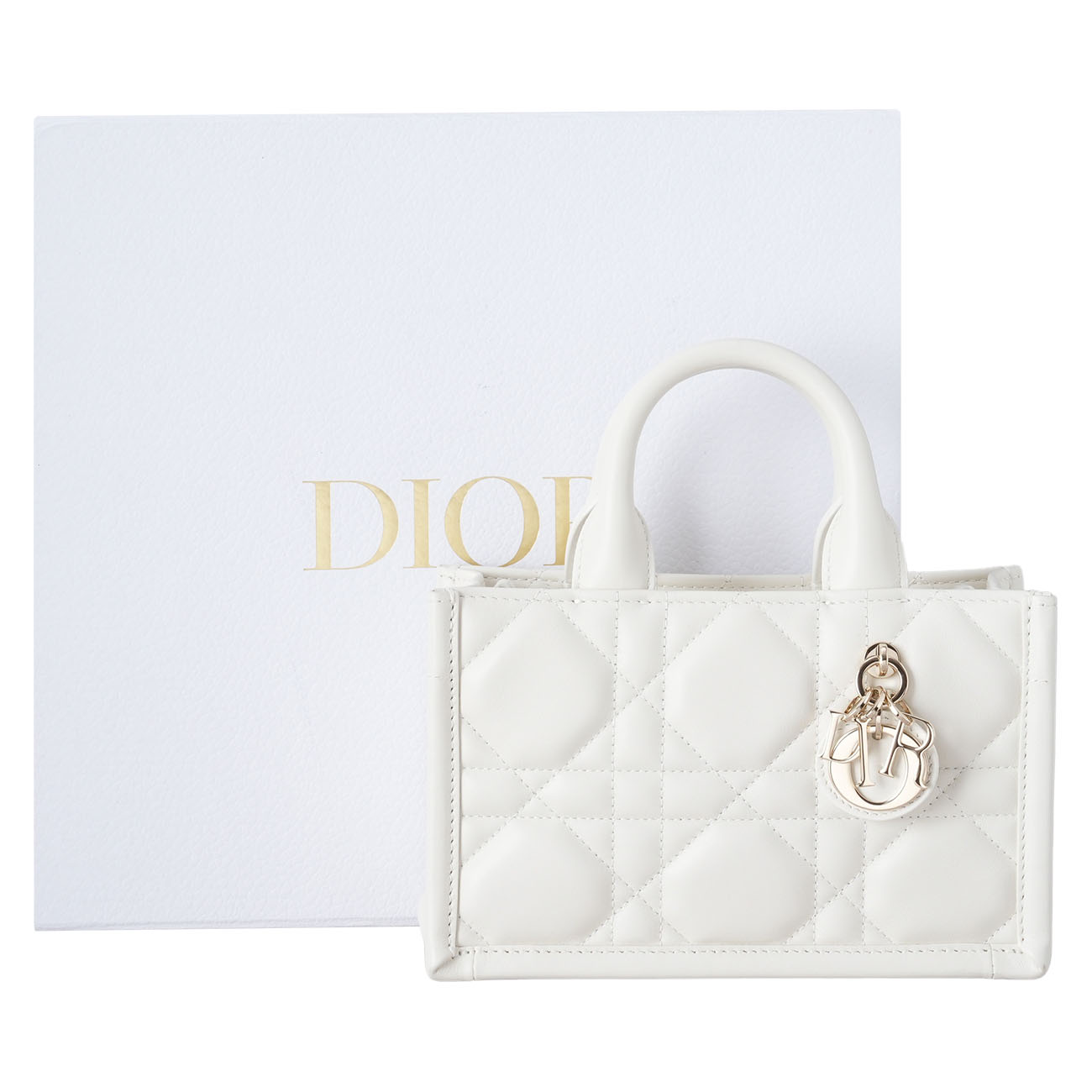 CHRISTIAN DIOR(USED)디올 북토트 미니 백